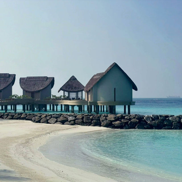 Maldives Bliss Awaits Maldives Bliss Awaits