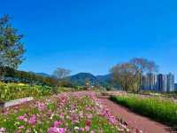 Jeolla Park