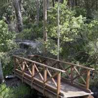 Araluen Botanic Park