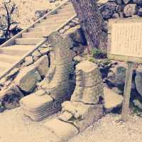 The Misty Phoenix: My Solo Visit to Maruoka Castle, Fukui