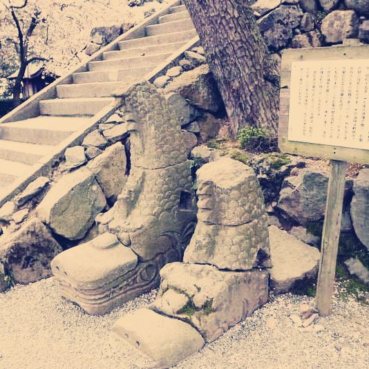 The Misty Phoenix: My Solo Visit to Maruoka Castle, Fukui