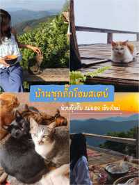บ้านซุกกิ๊ก : เติมแมวกลางทะเลหมอกห้วยกุ๊บกั๊บ