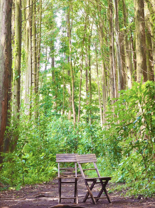 잊을 수 없는 가을 야외데이트 🍁🌿 제주 비밀의 정원