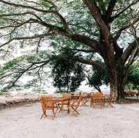 Bambu Beach Club บีชคลับสไตล์บาหลี 