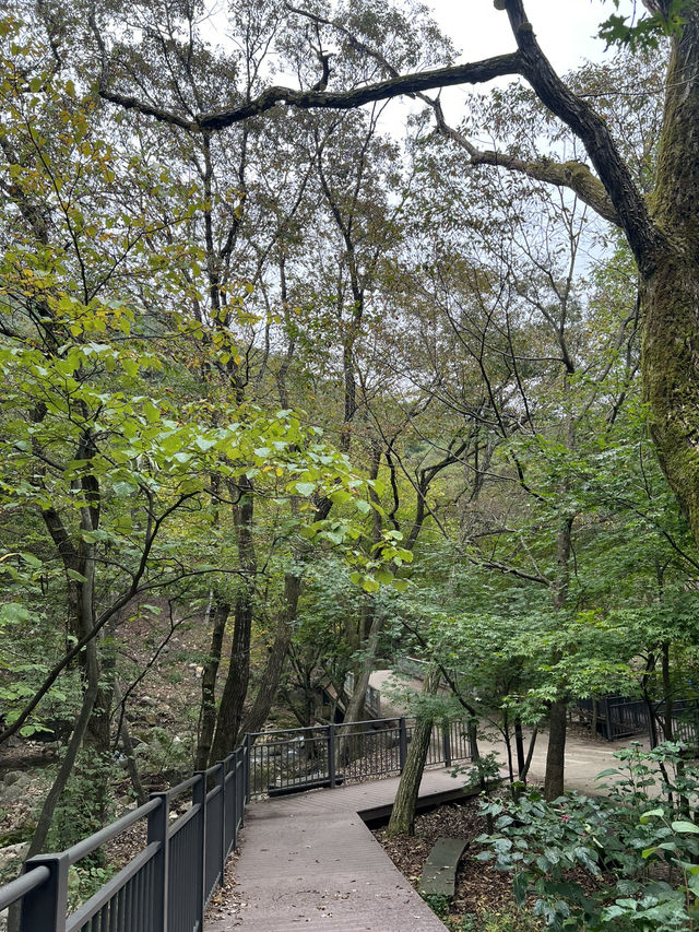 정말 좋네요 가을 산과 산사🍂