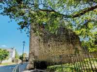 Ruins in Reverence: A Quiet Walk Through Bishop’s Palace, Llandaff