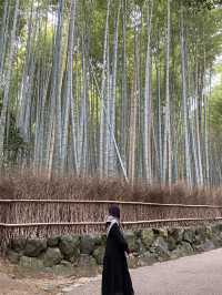 Kyoto Nature Escape🌳  