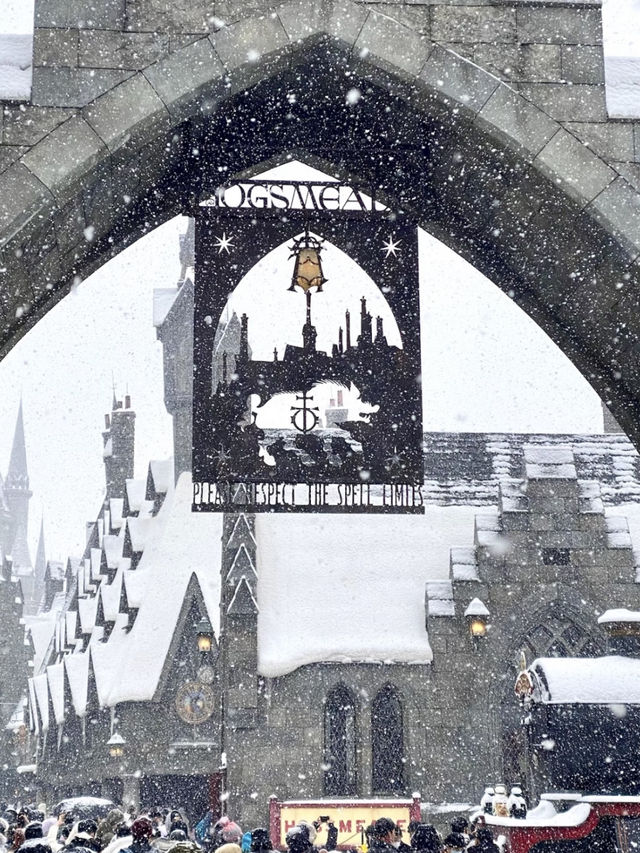 Already looking forward to snowy Universal Studios Beijing! ❄️❄️