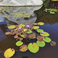 Brookgreen Gardens
