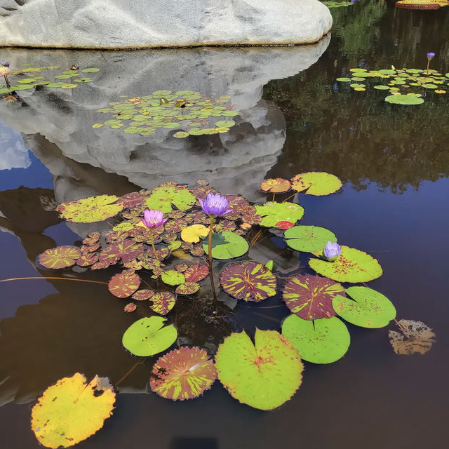 Brookgreen Gardens