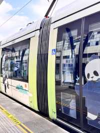 都江堰一日遊攻略：離堆公園、古城漫步與鏡面書閣