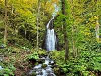 日本青森奧入瀨溪流