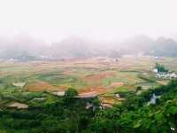 The Majestic Wanfenglin and the Mysterious Bagua Field