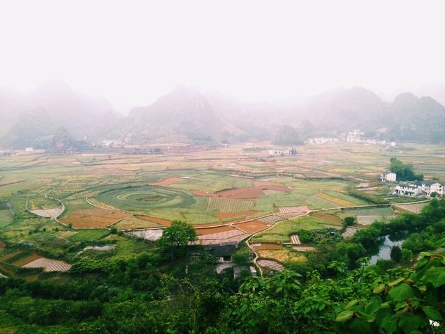 The Majestic Wanfenglin and the Mysterious Bagua Field