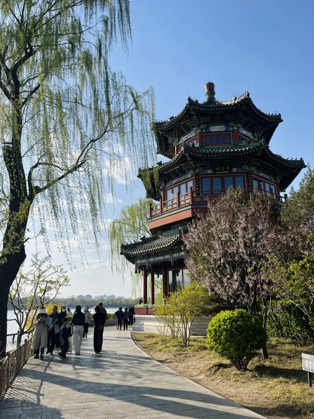北京什刹海的春天