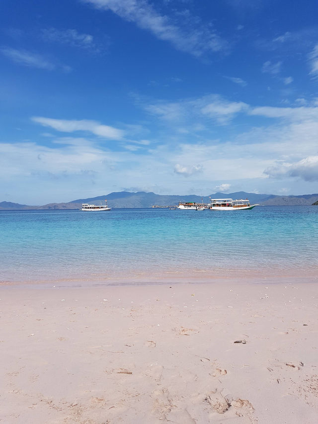 Bikin gamau pulang pink beach pulau komodo 💛