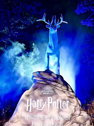 The Harry Potter Forbidden Forest Experience in Shenzhen is