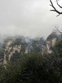 🌲 Zhangjiajie National Forest Park — The Ultimate 2-Day Guide for First-Timers 🌄