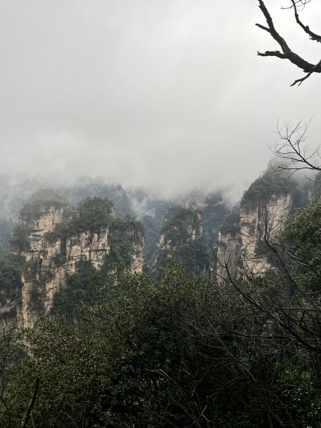 🌲 Zhangjiajie National Forest Park — The Ultimate 2-Day Guide for First-Timers 🌄