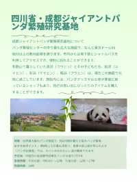 シャンシャンに会いたい！中国・四川省でパンダに会える場所