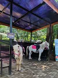 Orchid Forest Cikole: A Nature Escape