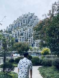 Shanghai experienced