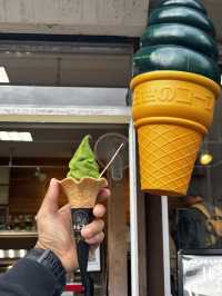 도쿄 4박5일 여행기