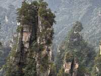 Zhangjiajie National forest park🙌🏼✨🔮