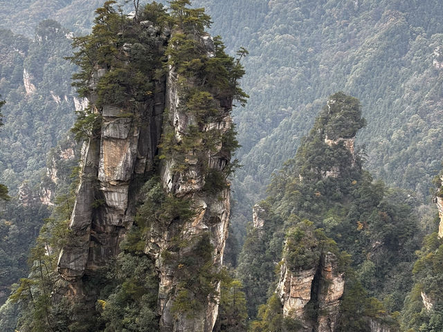 Zhangjiajie National forest park🙌🏼✨🔮 Zhangjiajie National forest park🙌🏼✨🔮
