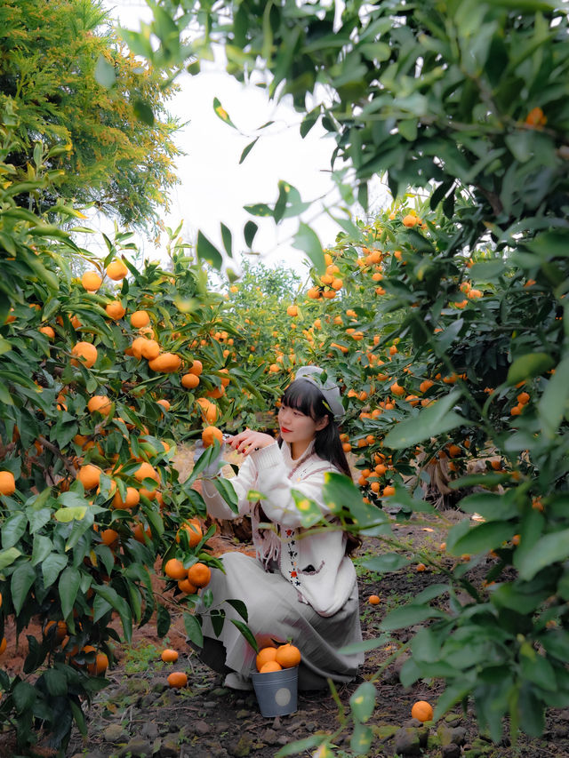 ์ ์ฃผ ๋๋ฐฑ ํ์๋ก ๊ฐ์ผํ๋ ๊ณณ๐บ ์ ์ฃผ ๋๋ฐฑ ํ์๋ก ๊ฐ์ผํ๋ ๊ณณ๐บ