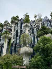 ขอที่ “ห้ามพลาด” ในเซี่ยงไฮ้…แบบต้องไปหน่อยครับ🙏