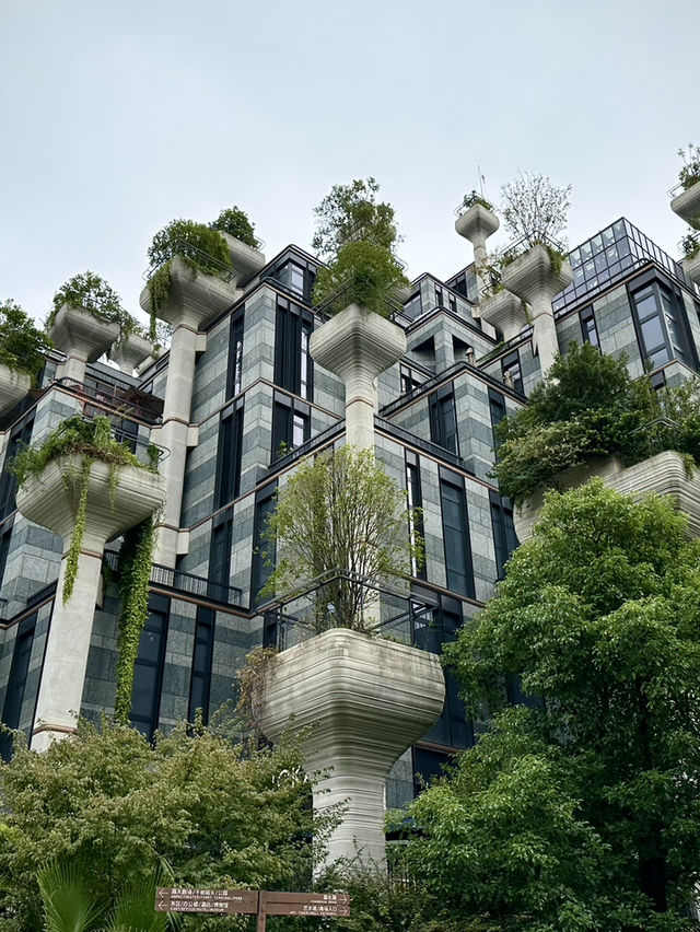 ขอที่ “ห้ามพลาด” ในเซี่ยงไฮ้…แบบต้องไปหน่อยครับ🙏