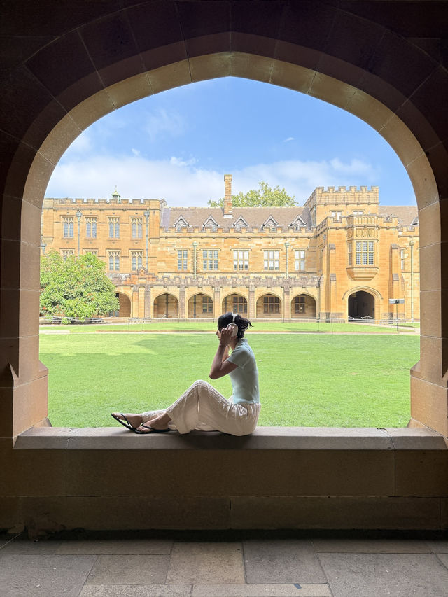 호주에서 만나는 해리 포터 학교! 시드니 대학교의 고딕 건축 캠퍼스📚 호주에서 만나는 해리 포터 학교! 시드니 대학교의 고딕 건축 캠퍼스📚