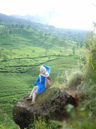 小山，沃諾索博