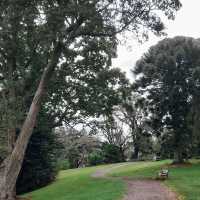 เดินชิลที่ Monte Cecilia Park สูดอากาศดีเต็มปอด