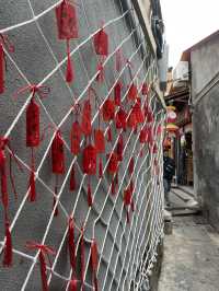 🌸 🇨🇳 泉州