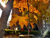 아직은 가을여행 중 😁🍁