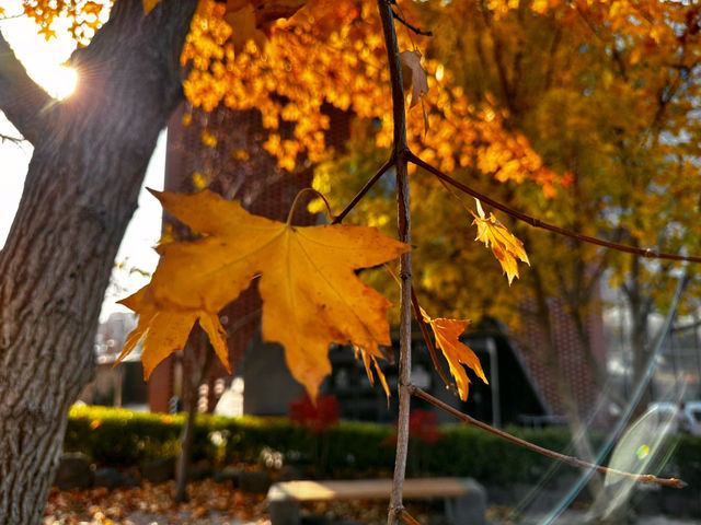 아직은 가을여행 중 😁🍁
