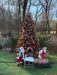 โ๏ธ๐ซง์๋ผ๋ฑ๊ธธ ๊ทผ์ฒ ์ธ์ฒ ๋ชจ๋ชจ์ํธ๐๐ซง