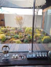 โจ ์ ์ฃผ ์คํ
์ด ๋ณด์ค์ผ ํจ๋ ๊ทผ์ฒ ํ๋ผ์ด๋น ํ๋น๋ผ