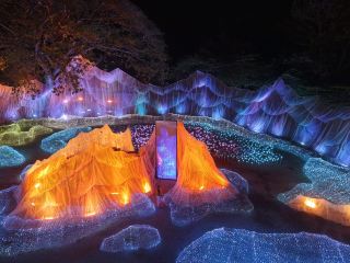 Nassttaライトフェスティバル