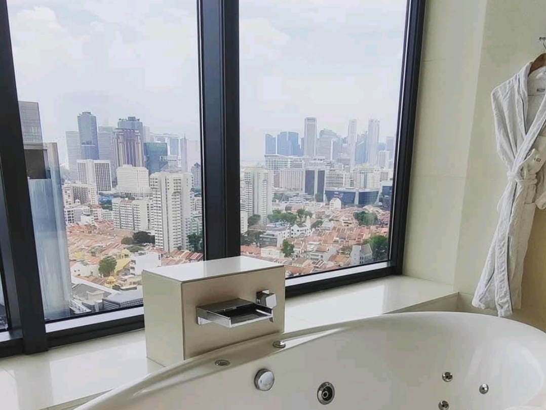 Singapore - Luxury Private PLUNGE POOL in  - 圖 7