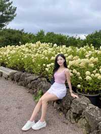 제주 휴애리 📸 사진만 보다가 스케일에 깜짝 놀란 현실 이유 💥