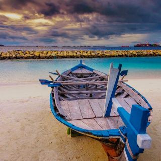 Rhythm of Coastal Calm