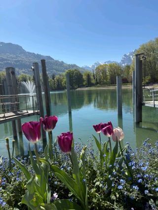 🇨🇭 Visit Weesen, a charming town on Lake Walensee. The atmosphere is peaceful and incredibly healing! ✨

If you're looking for a relaxing getaway in Switzerland, away from the crowds and with a picturesque setting, then you should definitely visit Weesen!
📍 Where is Weesen located?
Weesen is located in Eastern Switzerland, in the canton of St. Gallen, on the shores of Lake Walensee, surrounded by mountains and tranquil nature.
🌸 Highlights and Impressions:
Lakeside atmosphere: The lake water is incredibly clear and has a beautiful, soothing color. Walking along the water's edge, enjoying the cool breeze and seeing the mountain reflections is incredibly healing.
Flowers and shady trees: During my visit, there were beautiful flowers in bloom, including tulips and other vibrant pink blossoms, contrasting beautifully with the deep blue sky. Every photo angle was stunning!
Relaxing activities: There are nature trails with shady trees, benches for relaxing and enjoying the view, and pedal boats/touring boats are available on the shore.

For those seeking beautiful photo spots in a peaceful and tranquil atmosphere, I highly recommend adding Weesen to your Switzerland travel plan. You're guaranteed to be impressed! ❤️

#Weesen #Walensee #Switzerland #TravelSwitzerland #SwitzerlandReview #EasternSwitzerland #TripcomTH #SwissTravelOnYourOwn #Switzerland