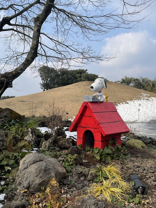 Snoopy Garden: The Cutest Spot in Jeju 🤍