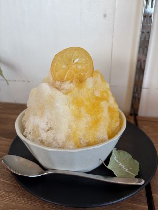 【西尾】海を観ながら、絶品フルーツかき氷🍧