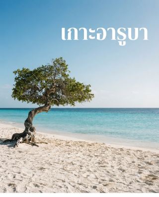 🌴 A small island in the Caribbean Sea with white sandy beaches, crystal-clear turquoise waters, and arid landscapes.