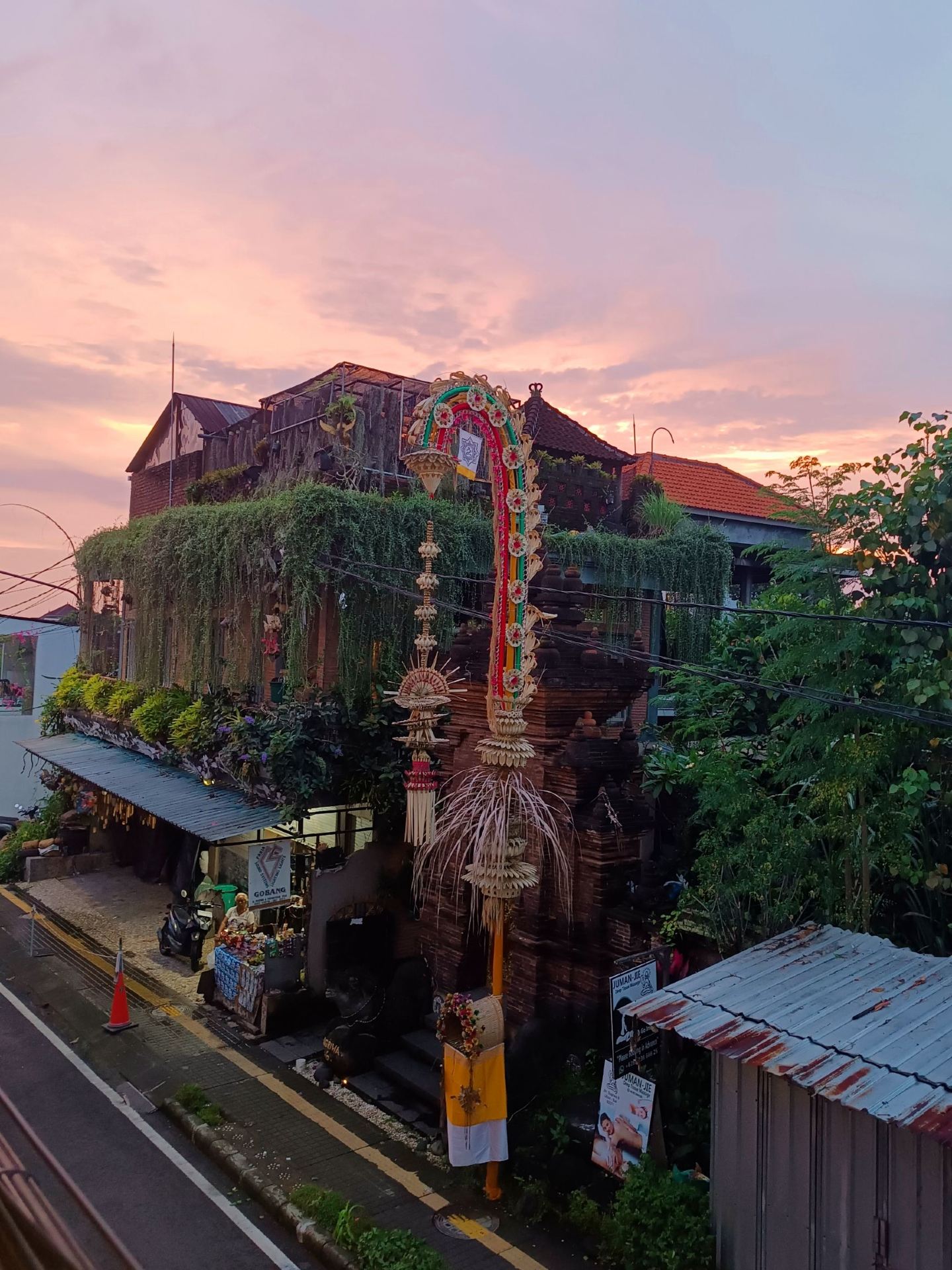 Winging It in Ubud: Hidden Shrines, Sacred Trees & Street Monkeys 🌿🐒