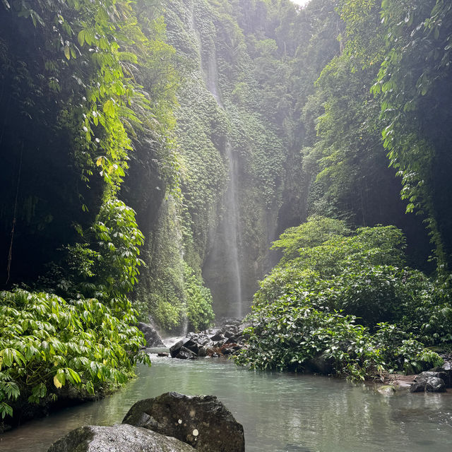 "Discovering Paradise: A Journey to Sekumpul